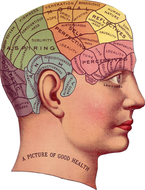 Le cerveau comme champ de bataille dans la guerre économique