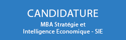Déposer sa candidature pour la formation initiale MBA Stratégie d'Intelligence Economique