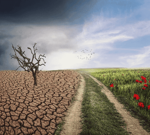 climat