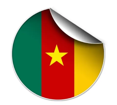 Étude de cas : Le Cameroun, laboratoire de l’influence par l’Aide Publique au Développement