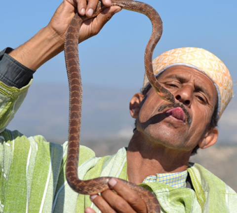 MarocAlgérie