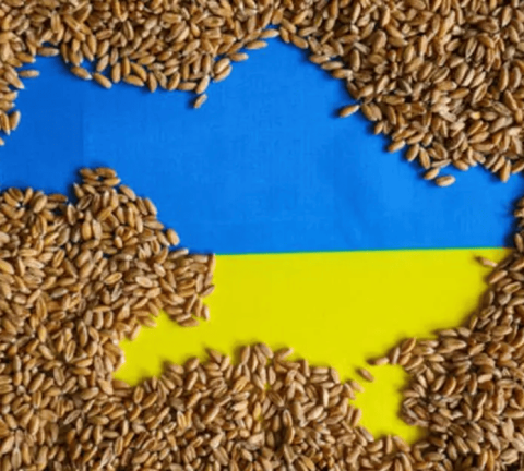 agriculture ukrainienne