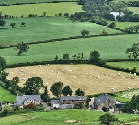agriculture