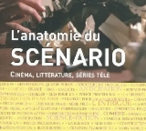 anatomie-scenario.jpg