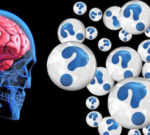 brain-2546101__340.jpg