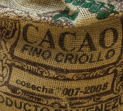 cocoa-824086_960_720.jpg