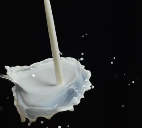 drip-175551__340.jpg