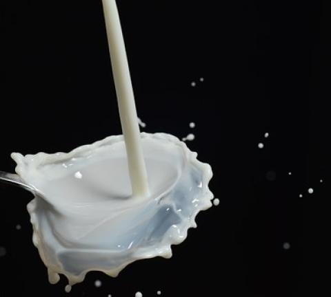 drip-175551__340.jpg