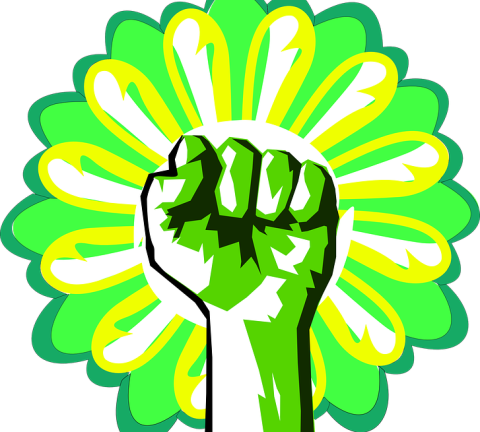 ecology-158929_960_720.png