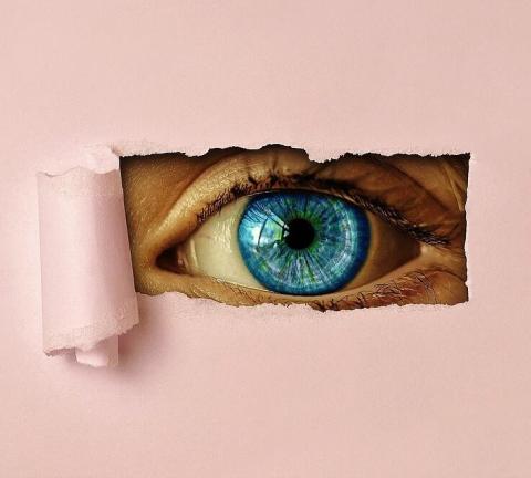 eye-2053408_960_720.jpg