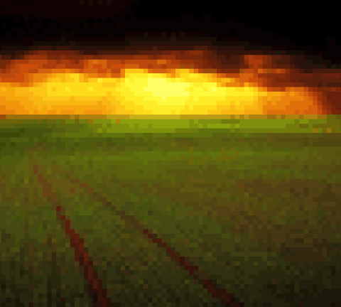  field-3092043_960_720-light.jpg