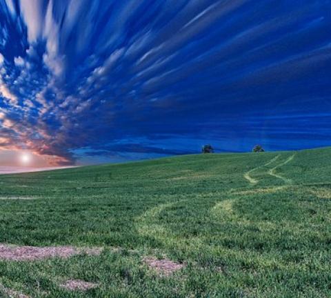field-768601__340.jpg