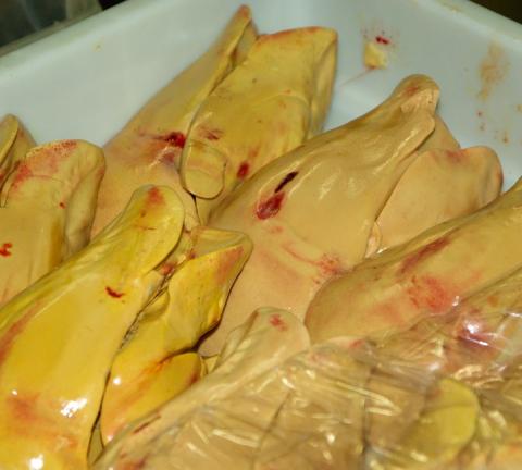 foie-gras-609207_960_720.jpg