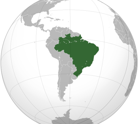 grande-distribution-bresil.svg_.png