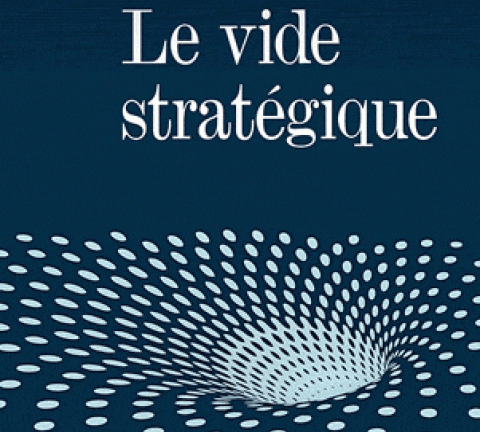 le-vide-strategique_philippe-baumard.gif