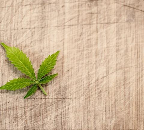 marijuana-3065621_960_720.jpg