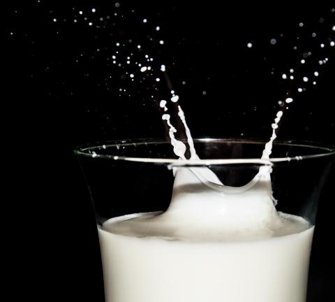 milk-1760353_960_720.jpg