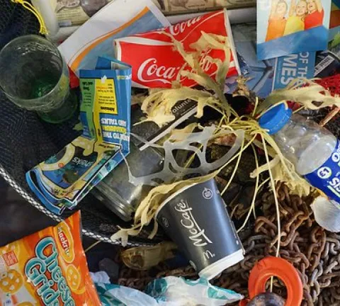 rubbish-1576990__340.jpg