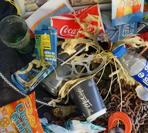 rubbish-1576990__340.jpg