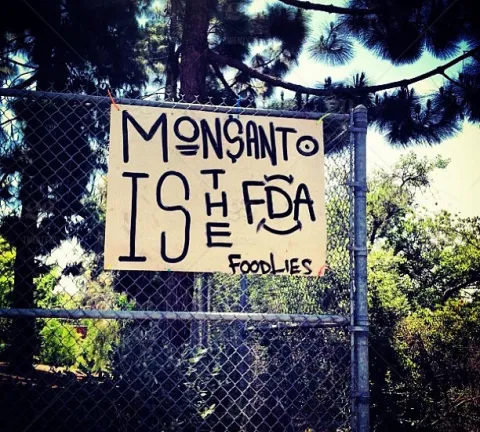 stock-photo-awareness-marchagainstmonsanto-conscious-monsanto-gmo-biohazard-553c0e86-82a7-42dd-bcff-eb3de3c18c01.jpg