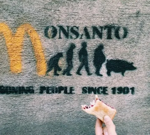 stock-photo-yellow-food-street-art-healthy-clever-austria-streetart-mcdonalds-a09abfd7-b76d-4cfa-aea9-1bb792facd4b.jpg