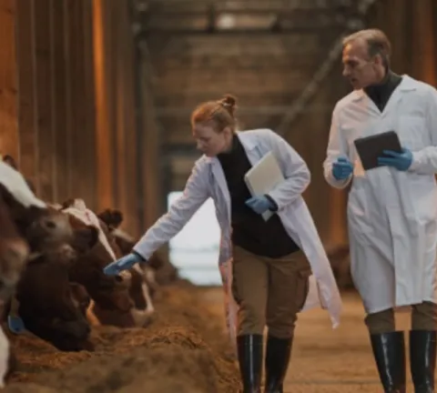 Visuel santé animale