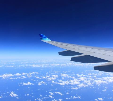 wing-221526_960_720.jpg
