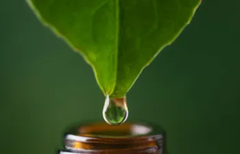 médecines alternatives