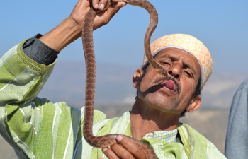 MarocAlgérie