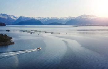 Fjord norvegien élevage du saumon