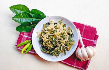 nourriture d'insectes