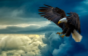  photoguerreeco-2-light.png