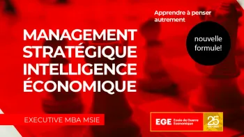 Management Stratégique et Intelligence Economique