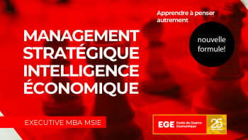 Management Stratégique et Intelligence Economique