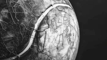 Fond Livre Blanc Sport 2026