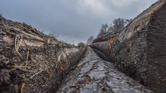 Déforestation