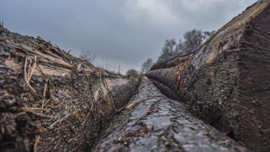 Déforestation