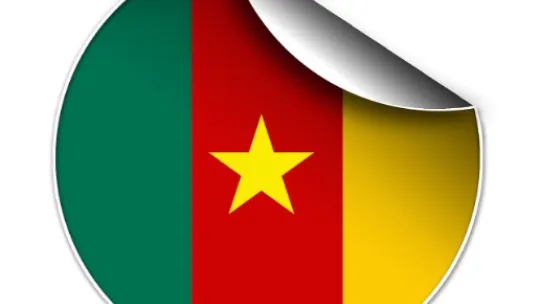Étude de cas : Le Cameroun, laboratoire de l’influence par l’Aide Publique au Développement Étude de cas : Le Cameroun, laboratoire de l’influence par l’Aide Publique au Développement