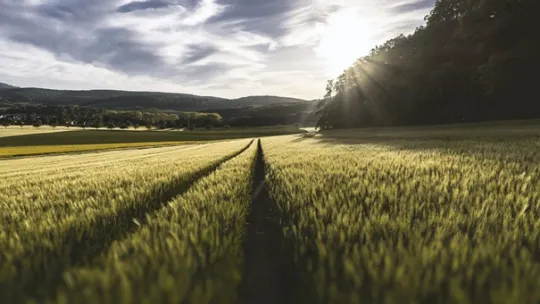 agriculture3