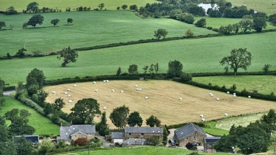 agriculture