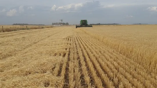 agro-alimentaires