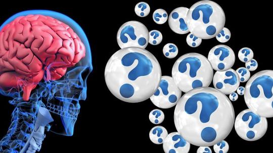 brain-2546101__340.jpg