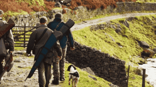 chasseurs