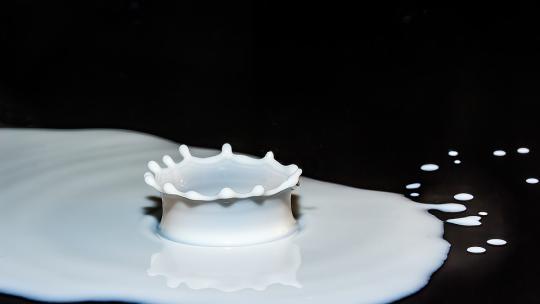 drops-of-milk-2062100_960_720.jpg