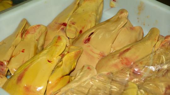 foie-gras-609207_960_720.jpg