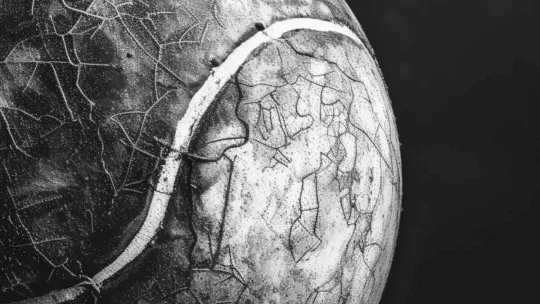 Fond Livre Blanc Sport 2026