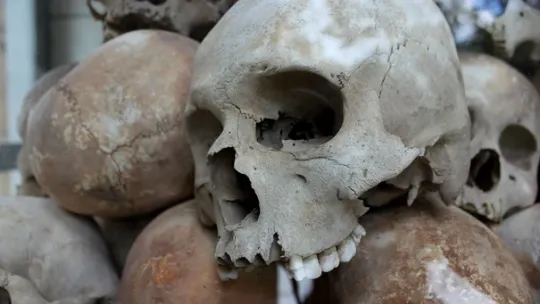 génocide