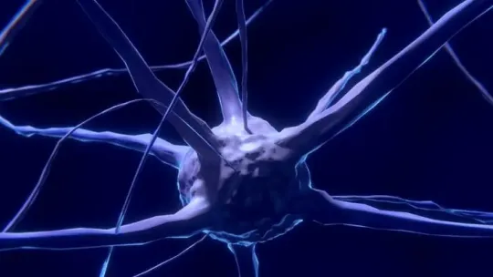 intelligence
