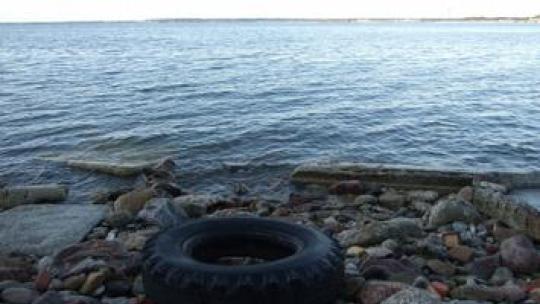 la-mer-baltique-vue-d-estonie-la-baltique-la-mer-la-plus-polluee-du-monde.jpg