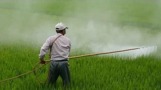 pesticides